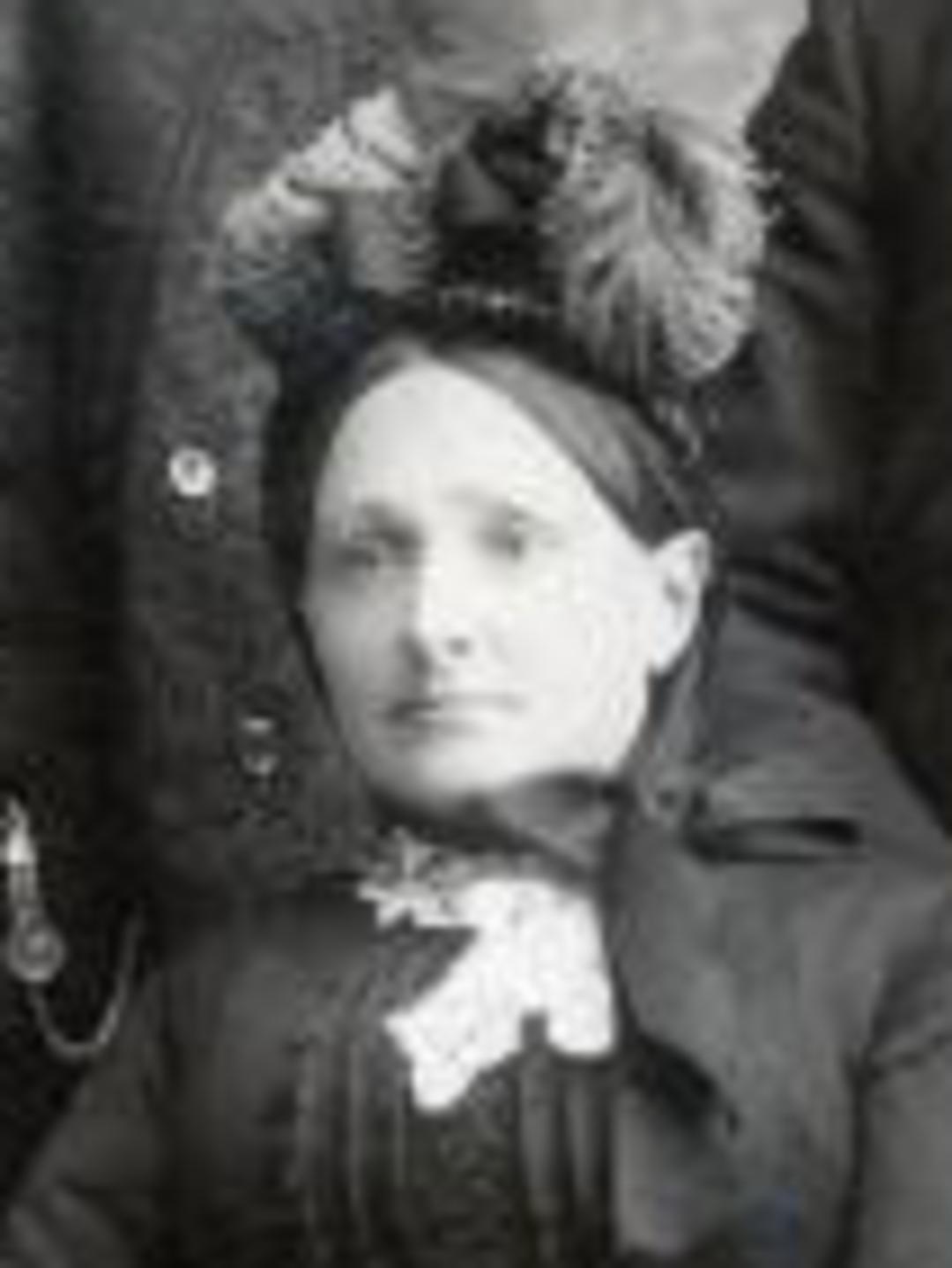 Annie Eliza Ingram (1833 - 1912) Profile